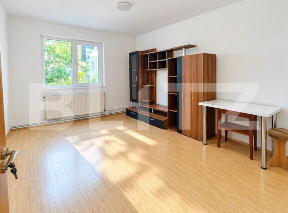 Garsonieră de vânzare Blascovici - 206743AV | BLITZ Timișoara | Poza1