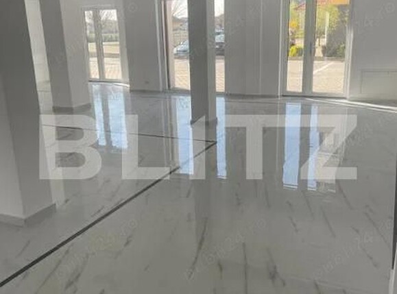 Spațiu comercial de închiriat Dumbravita - 206761SIC | BLITZ Timișoara | Poza1