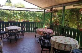 Pensiune 16 camere, 450 mp, zona Lugojului