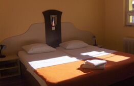 Pensiune 16 camere, 450 mp, zona Lugojului