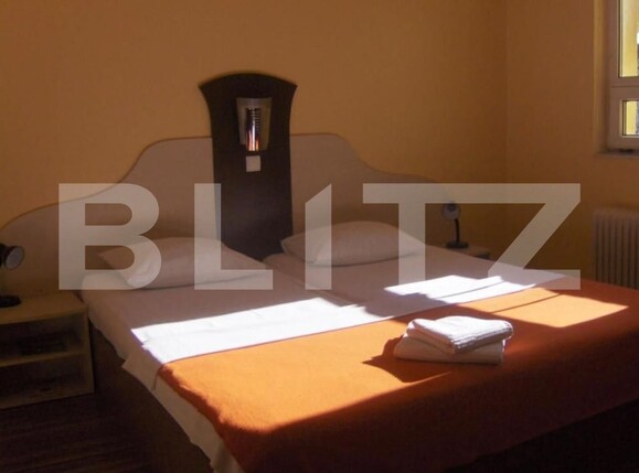 Spațiu comercial de vânzare Crisan - 206788SVC | BLITZ Timișoara | Poza2