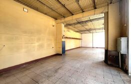 Sad de inchiriat, 278.41, zona Ultracentral