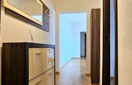 Apartament 3 camere, 57 mp, zona Dambovita