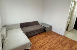 Apartament cu o camera, 22 mp, zona Lipovei