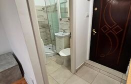 Apartament cu o camera, 22 mp, zona Lipovei