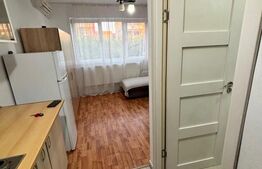 Apartament cu o camera, 22 mp, zona Lipovei
