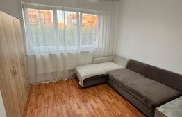 Apartament cu o camera, 22 mp, zona Lipovei