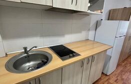 Apartament cu o camera, 22 mp, zona Lipovei