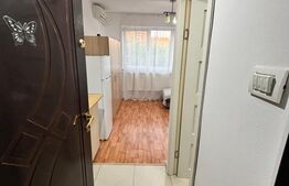 Apartament cu o camera, 22 mp, zona Lipovei