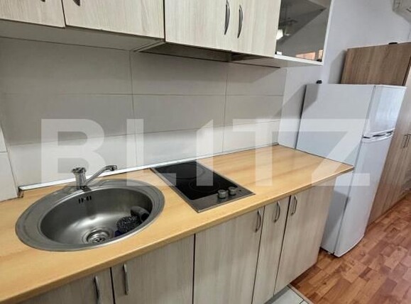 Garsonieră de închiriat Lipovei - 207167AI | BLITZ Timișoara | Poza4