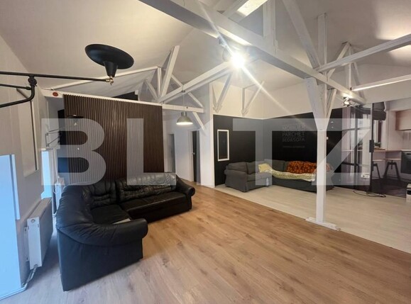 Spațiu birouri de închiriat Iosefin - 207315SIB | BLITZ Timișoara | Poza2