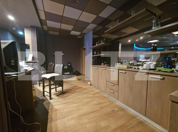 Spațiu comercial de închiriat Gheorghe Lazar - 207319SIC | BLITZ Timișoara | Poza8