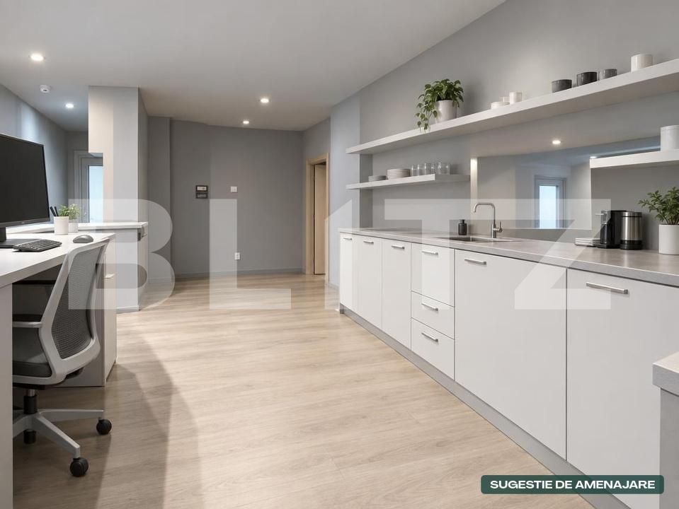 Spațiu comercial de închiriat Gheorghe Lazar - 207319SIC | BLITZ Timișoara | Poza3