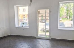 Spațiu comercial de închiriat Cetatii - 204092SIC | BLITZ Timișoara | Poza1