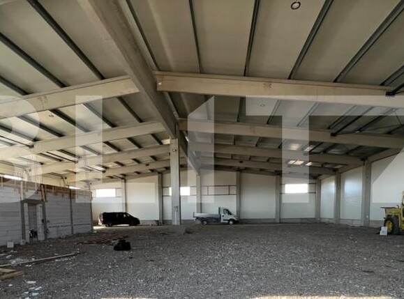 Spațiu industrial de închiriat Ghirodei - 207505SII | BLITZ Timișoara | Poza2