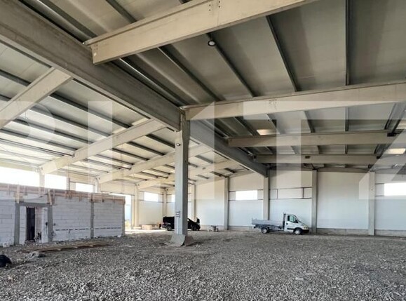 Spațiu industrial de închiriat Ghirodei - 207505SII | BLITZ Timișoara | Poza3
