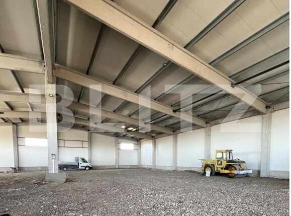 Spațiu industrial de închiriat Ghirodei - 207505SII | BLITZ Timișoara | Poza1