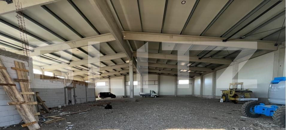 Spațiu industrial de închiriat Ghirodei - 207505SII | BLITZ Timișoara | Poza2