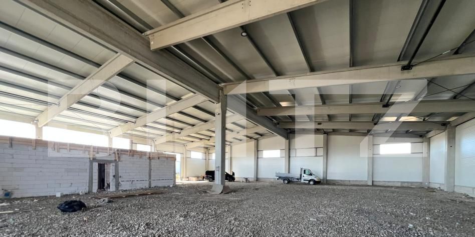Spațiu industrial de închiriat Ghirodei - 207505SII | BLITZ Timișoara | Poza3