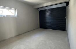 Duplex de vanzare, 117 mp, zona Dumbravita