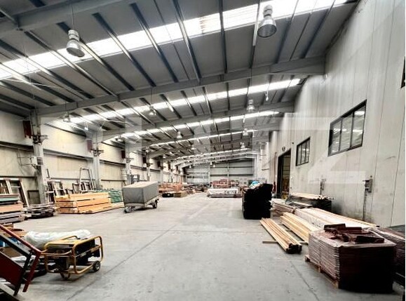 Spațiu industrial de închiriat Sacalaz - 207714SII | BLITZ Timișoara | Poza2
