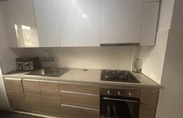Apartament 2 camere, 60 mp, terasa 70 mp, zona Torontalului