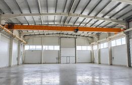 Hală industrială, 1.000 mp, zona Sacalaz