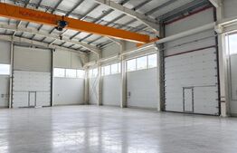 Hală industrială, 1.000 mp, zona Sacalaz