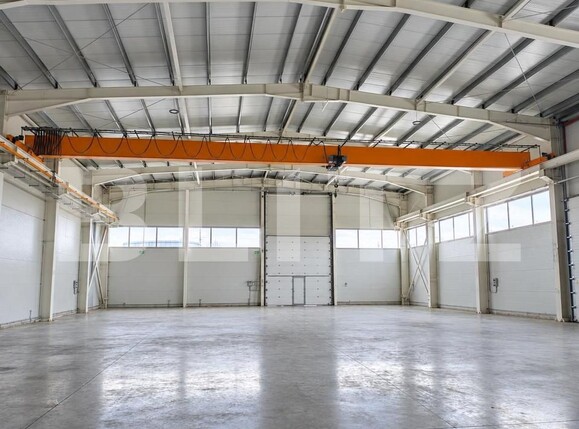 Spațiu industrial de închiriat Sacalaz - 208155SII | BLITZ Timișoara | Poza1