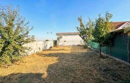 Duplex cu 130 mp utili și curte generoasă, în Dumbrăvița 