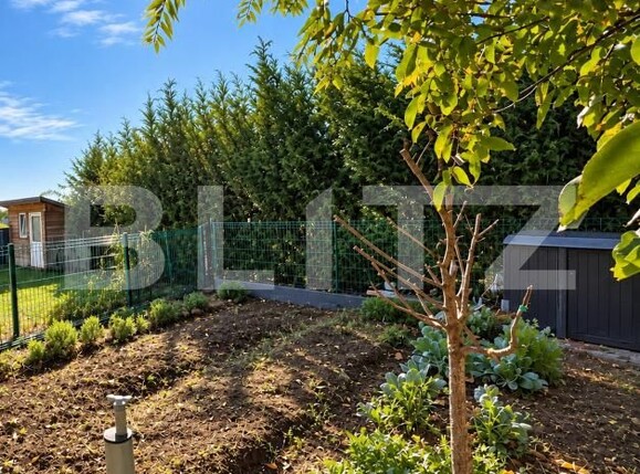 Casa de vânzare 4 camere Ghiroda - 208638CV | BLITZ Timișoara | Poza11