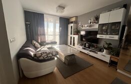 Apartament de vânzare 2 camere Torontalului - 208986AV | BLITZ Timișoara | Poza4