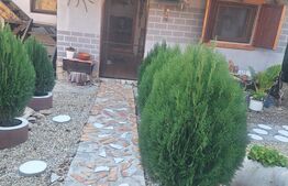 Casa de vanzare, 97 mp, zona Nadrag 