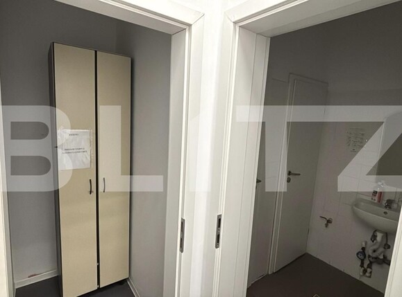 Spațiu comercial de închiriat Ultracentral - 209222SIC | BLITZ Timișoara | Poza9