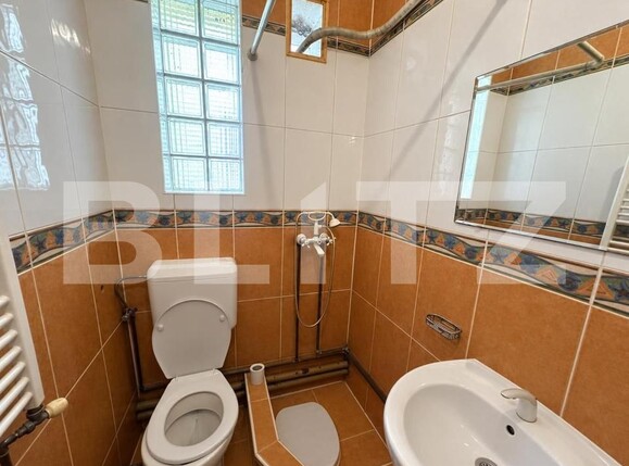 Casa de închiriat 3 camere Elisabetin - 209783CI | BLITZ Timișoara | Poza8