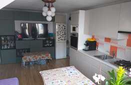 Apartament 2 camere zona Dambovita