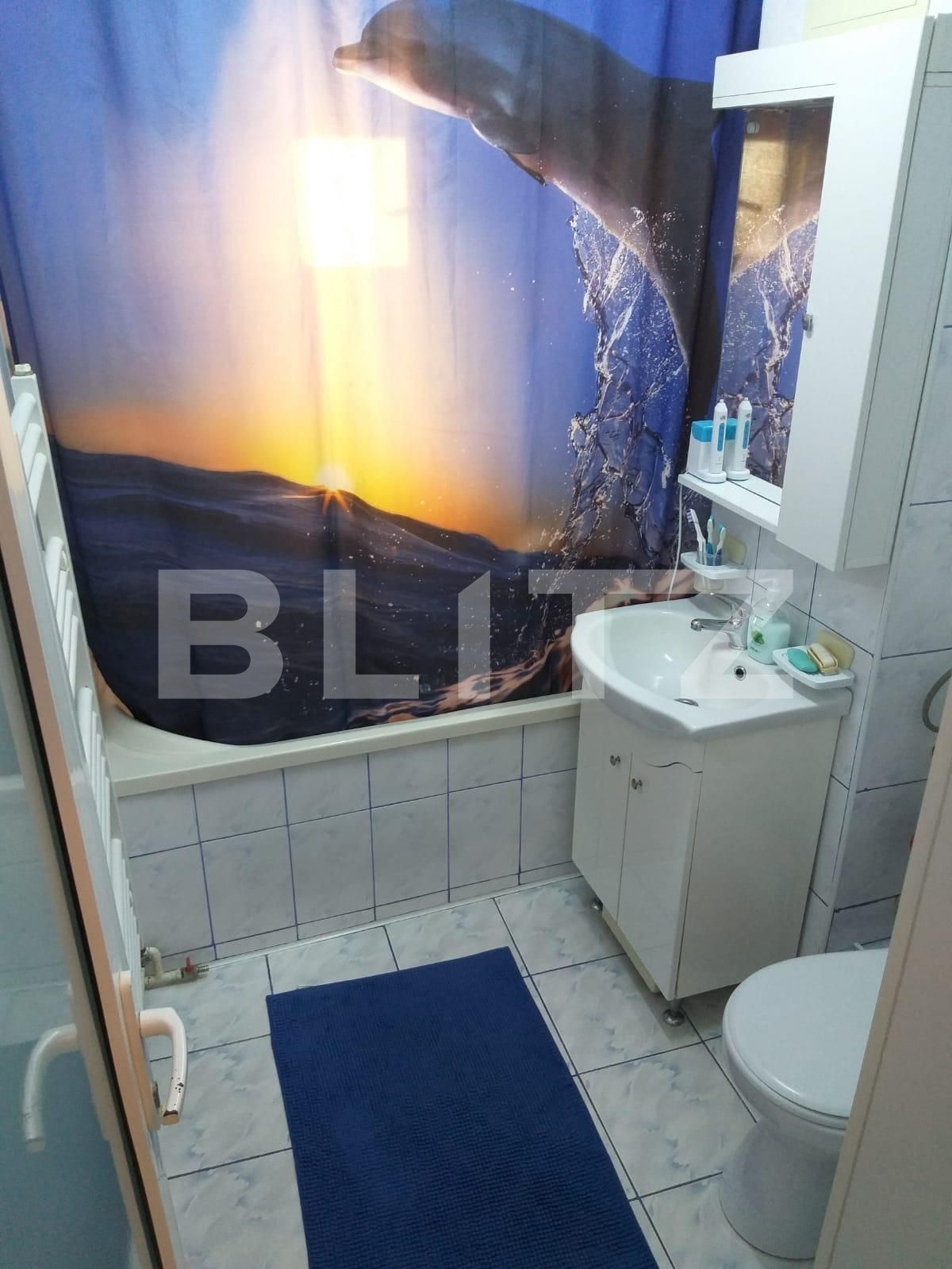 Apartament de vânzare 2 camere Dambovita - 62716AV | BLITZ Timișoara | Poza8