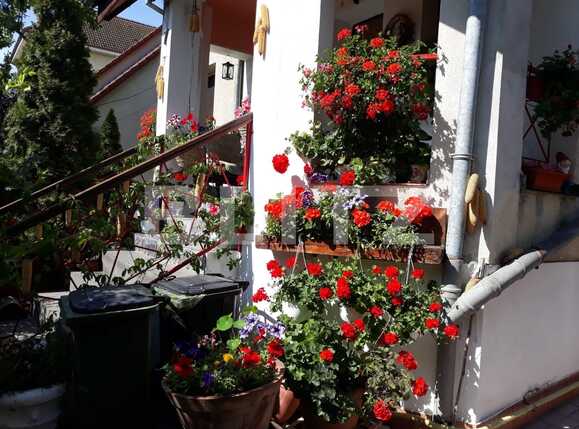 Casa de vânzare 9 camere Girocului - 62740CV | BLITZ Timișoara | Poza3