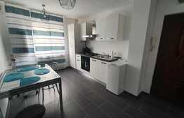 Apartament 2 camere, 55 mp utili + balcon inchis, Torontalului