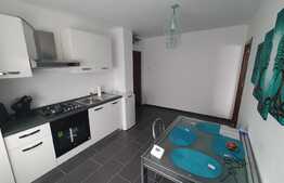 Apartament 2 camere, 55 mp utili + balcon inchis, Torontalului