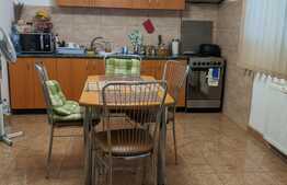 De vanzare 2 case individuale, 186 mp utili, cu teren 500 mp, in Braytim