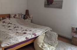 De vanzare 2 case individuale, 186 mp utili, cu teren 500 mp, in Braytim