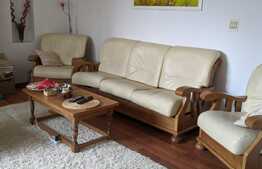 De vanzare 2 case individuale, 186 mp utili, cu teren 500 mp, in Braytim