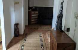 De vanzare 2 case individuale, 186 mp utili, cu teren 500 mp, in Braytim