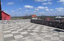 Casa D+P+E1+M, 380 mp utili, 825 mp teren, zona Mehala