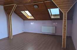 Casa D+P+E1+M, 380 mp utili, 825 mp teren, zona Mehala