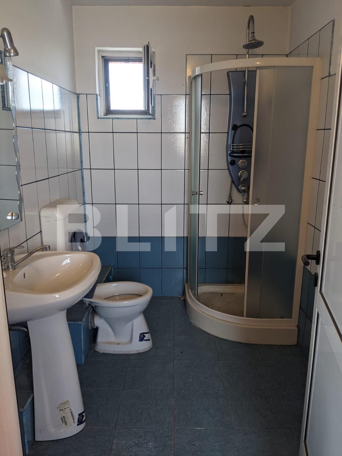 Casa de vânzare 6 camere Mircea cel Batran - 63003CV | BLITZ Timișoara | Poza16