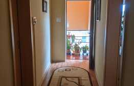 Casa individuala la cheie, 144 mp utili, 365 mp teren, zona Calea Buziasului