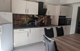 Triplex de vanzare, 190 mp utili, teren 168 mp, mobilata, Giroc