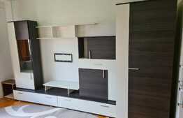 Garsonieră de vanzare in zona Buziașului